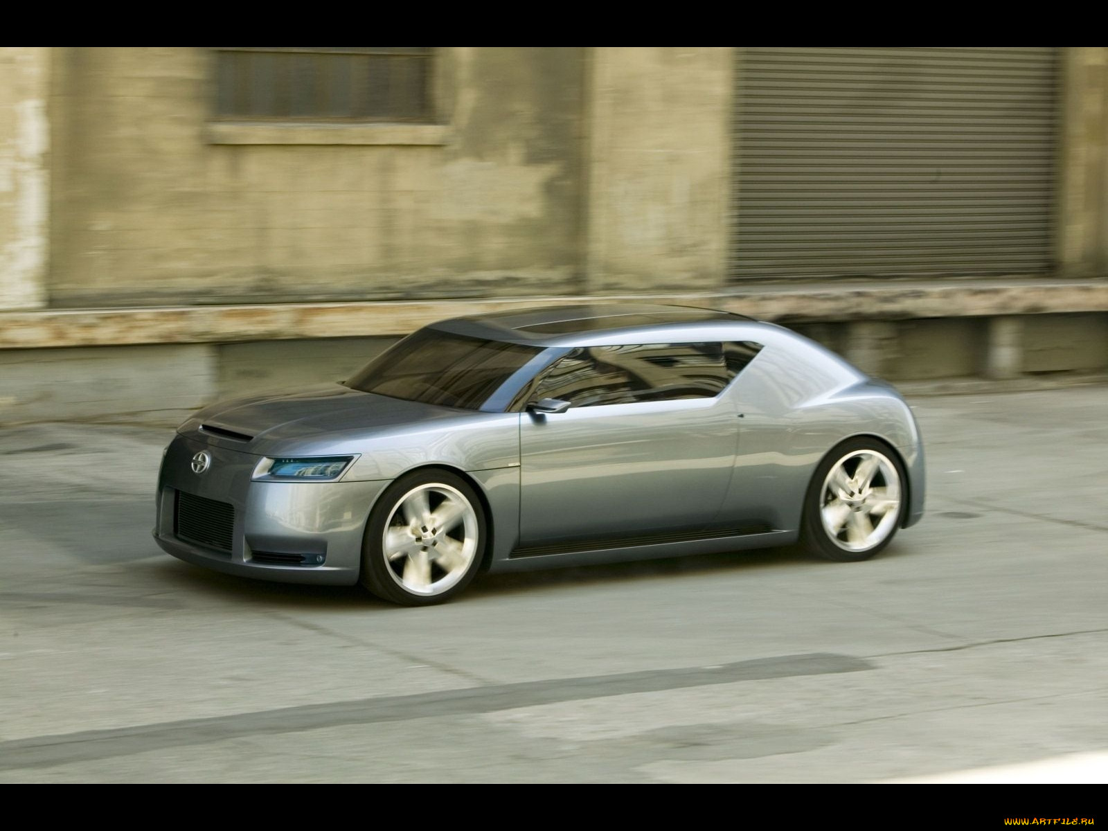 , scion